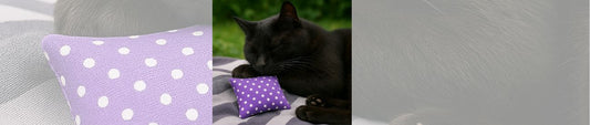 🌿 Baldrian-Boom: Warum wir Katzen dieses Kraut einfach lieben!