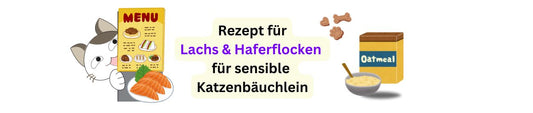Lachs mit Haferflocken Menü - Katzenfutter selber machen