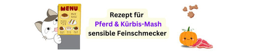 Pferd mit Kürbis-Mash Menü - Katzenfutter selber machen