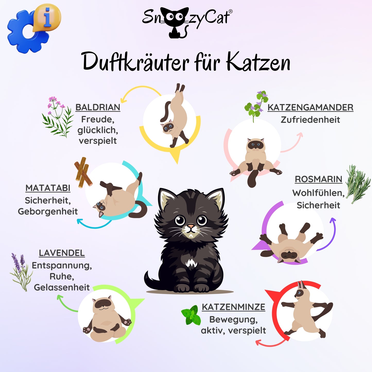 Übersicht der Duftkräuter für Katzen von SNOOZYCAT® – Wirkung von Katzenminze, Baldrian, Lavendel, Rosmarin, Muskatellersalbei, Kamille, Matatabi, Katzengamander & Anis Ysop auf das Wohlbefinden von Katzen – dargestellt mit Illustrationen