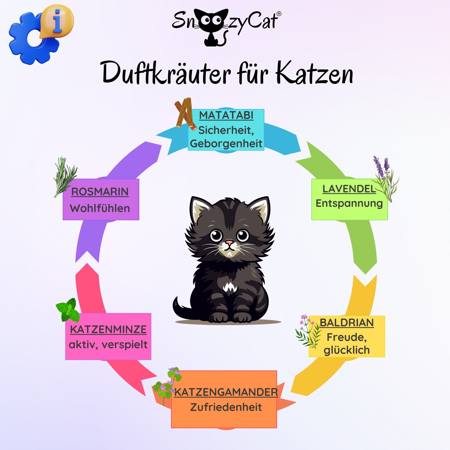 Übersicht der SNOOZYCAT® Duftkräuter für Katzen mit Wirkung: Matatabi, Rosmarin, Lavendel, Kamille, Muskatellersalbei, Katzenminze, Baldrian, Katzengamander und Anis Ysop – natürliche Kräuter für Entspannung, Harmonie und Spieltrieb