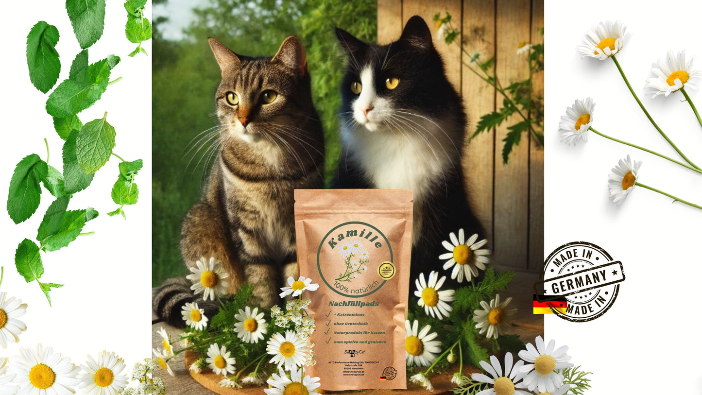 Zwei Katzen neben SNOOZYCAT® Kamille & Katzenminze Nachfüllpads – natürliche Kräuter für Katzen zur Beruhigung & Entspannung – Made in Germany – umgeben von Kamille und Katzenminze