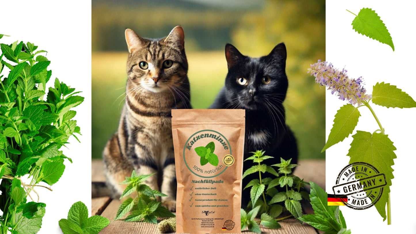 SNOOZYCAT® Nachfüllpads – Katzenminze – 100 % natürliche Kräuter – anregend & verspielt – 10 Stück