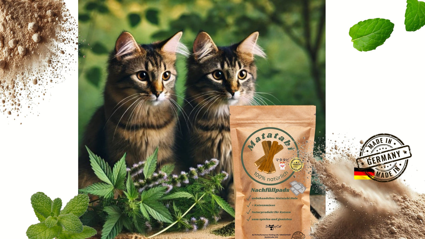 SNOOZYCAT® Nachfüllpads – Matatabi (Silvervine) & Katzenminze – 100 % natürliche Kräuter – spielanregend & ausgleichend – 10 Stück