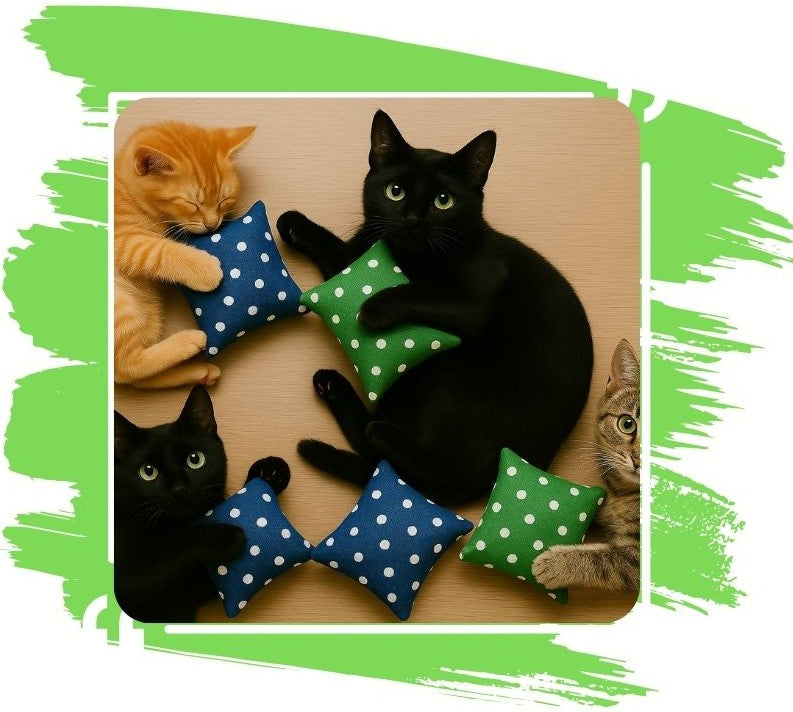 Katzen spielen mit nachfüllbaren SNOOZYCAT® Schmusekissen mit Katzenminze – handgemachte Kissen in Blau und Grün mit Punkten, gefüllt mit 100 % natürlicher Katzenminze – OEKO-TEX® zertifiziert, Made in Germany