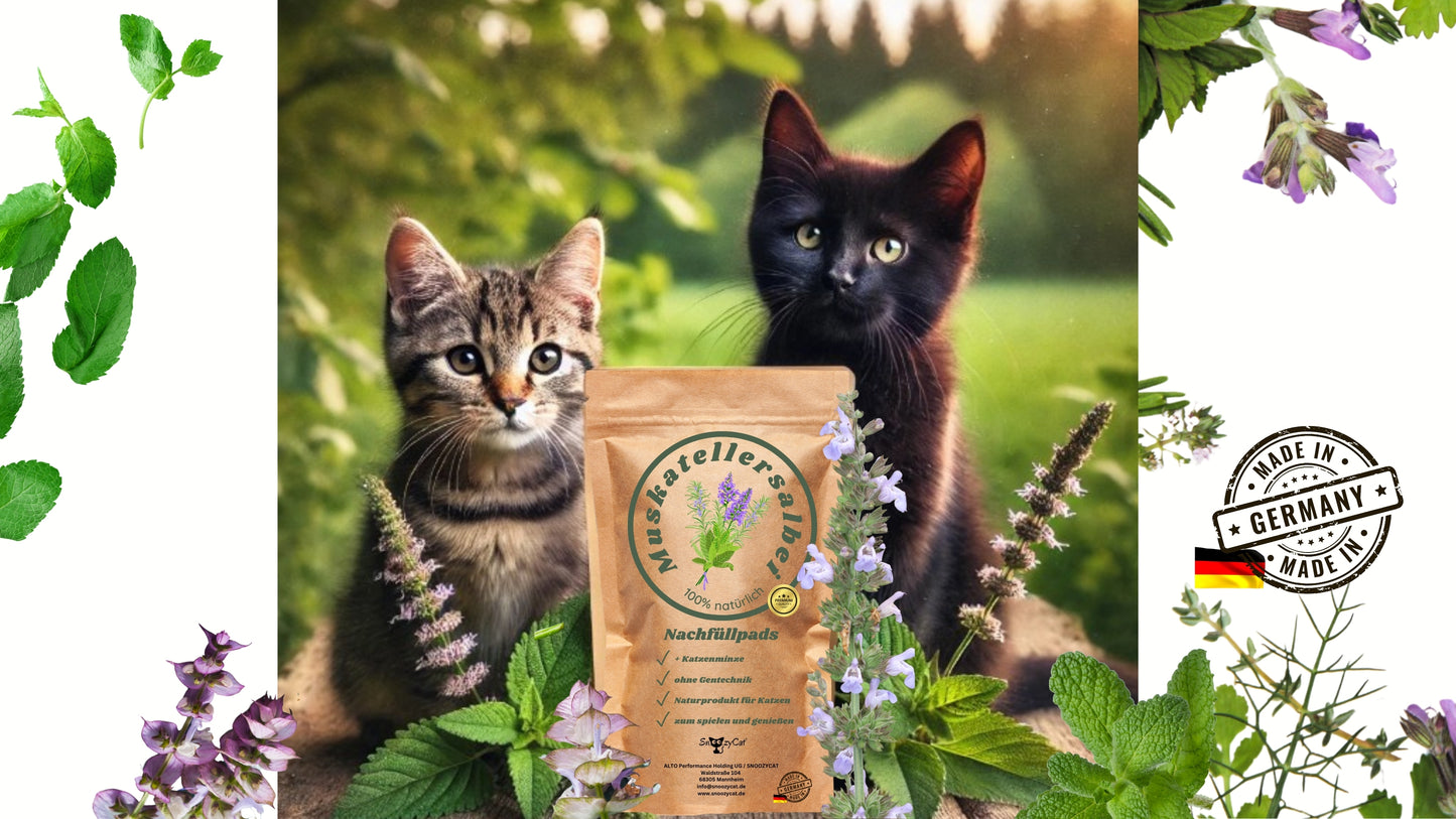 Nachfüllpads für Katzenspielzeug mit Katzenminze & Muskatellersalbei von SNOOZYCAT® – 100 % natürliche Kräuter – handgemacht in Deutschland