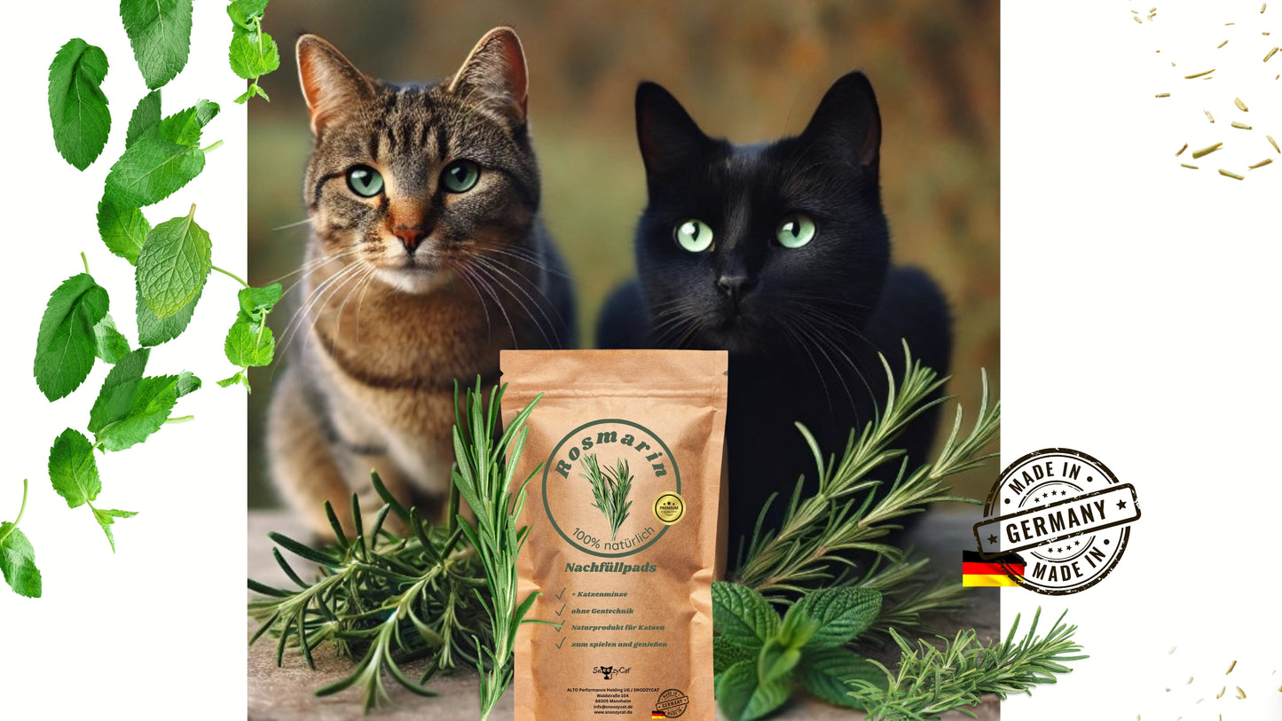 Zwei Katzen – eine getigerte und eine schwarze – sitzen hinter einer Packung SNOOZYCAT® Rosmarin Nachfüllpads, umgeben von Rosmarinzweigen und Katzenminze. Das Produkt ist als „Made in Germany“ gekennzeichnet. Links und rechts dekorieren Kräuterblätter das Bild.