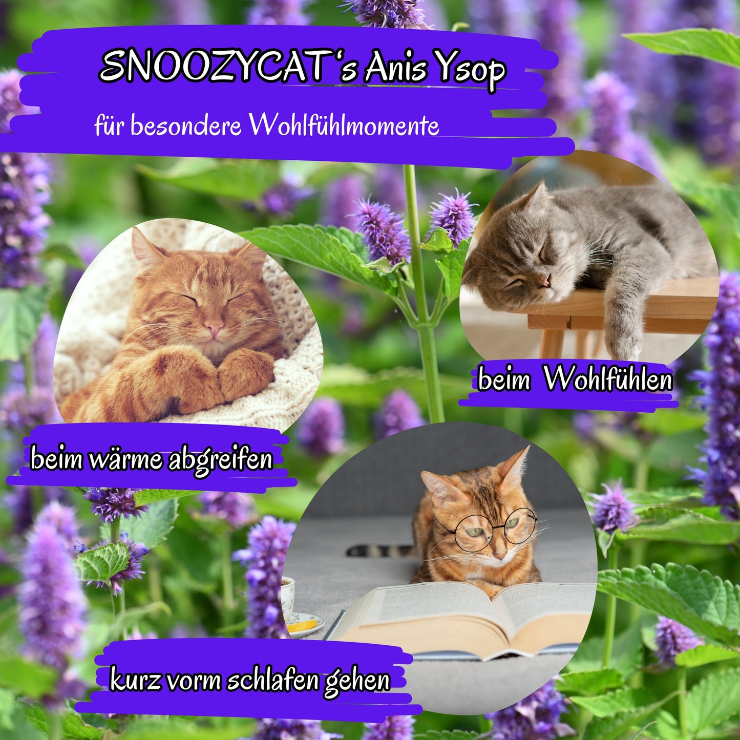 SNOOZYCAT® Nachfüllpads – Anis Ysop & Baldrian – 100 % natürliche Kräuter – ausgleichend & harmonisierend – 10 Stück