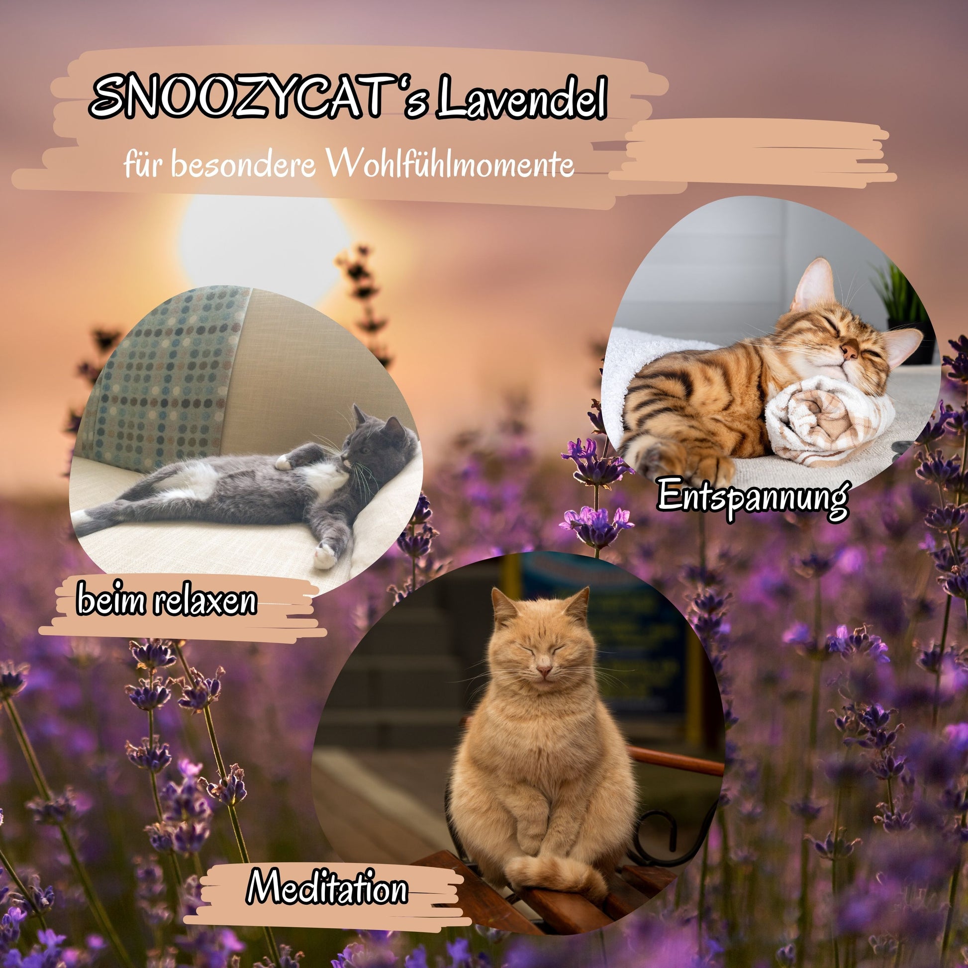 wohlfühlmomente lavendel