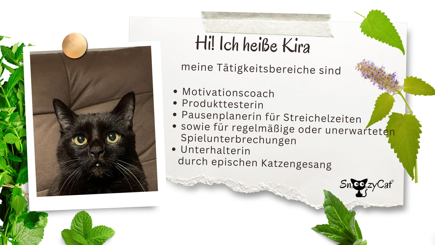 SNOOZYCAT® 2 Katzenminze-Kissen – nachfüllbar & waschbar – mit 4 Nachfüllpads – 100 % natürliche Katzenminze – OEKO-TEX® Baumwolle – Made in Germany