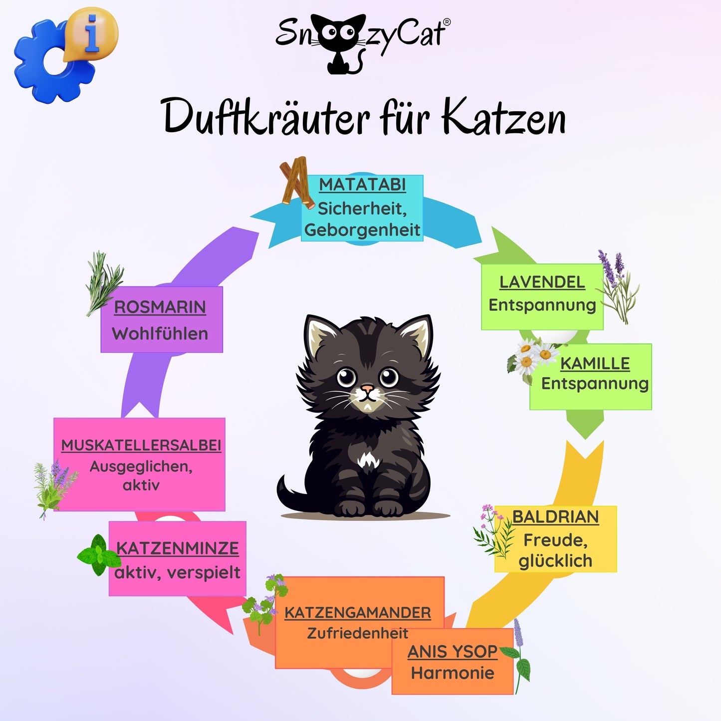 Übersicht der SNOOZYCAT® Duftkräuter für Katzen mit Wirkung: Matatabi, Rosmarin, Lavendel, Kamille, Muskatellersalbei, Katzenminze, Baldrian, Katzengamander und Anis Ysop – natürliche Kräuter für Entspannung, Harmonie und Spieltrieb