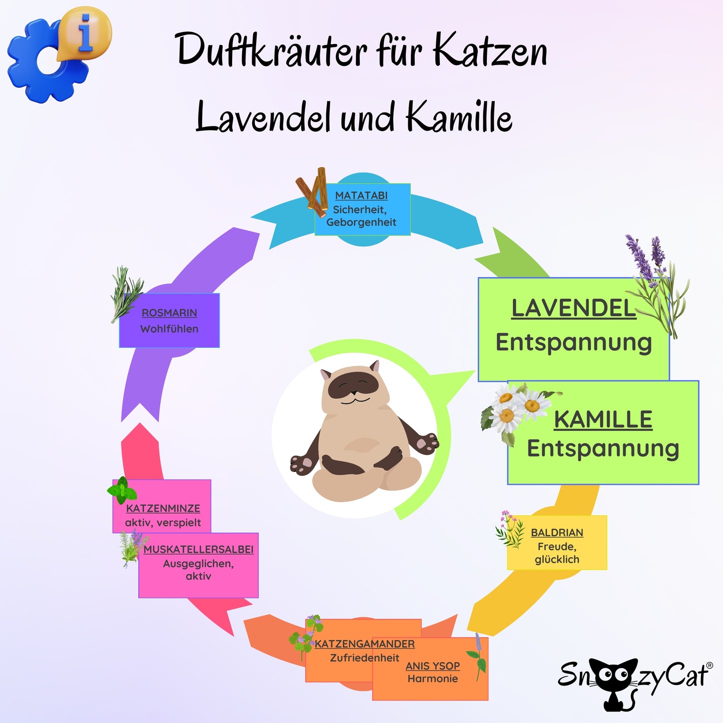 SNOOZYCAT® Übersicht: Duftkräuter für Katzen wie Lavendel, Kamille, Matatabi, Baldrian, Rosmarin, Muskatellersalbei und Katzenminze – Wirkung auf Entspannung, Aktivität und Wohlbefinden