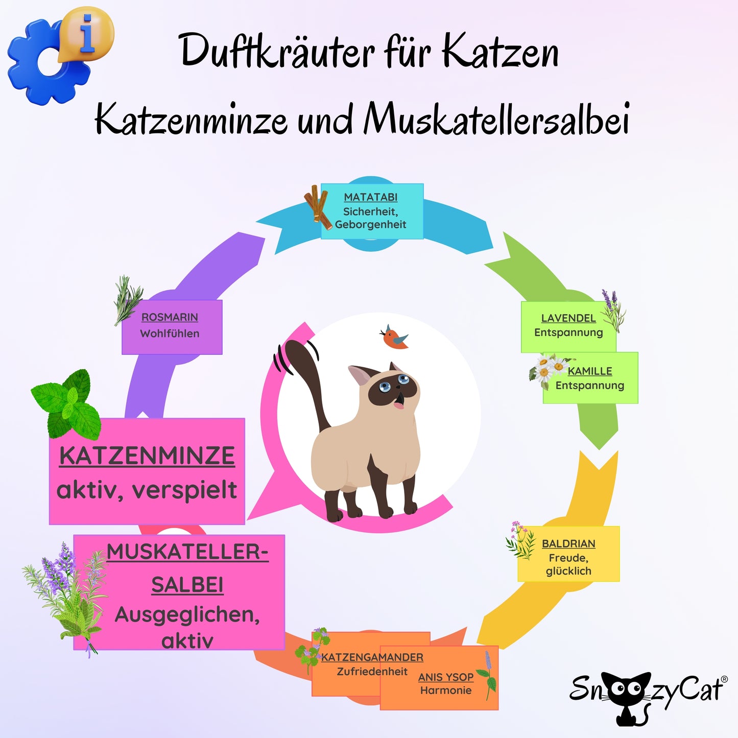 SNOOZYCAT® Duftkräuter für Katzen – Wirkung von Katzenminze und Muskatellersalbei auf Katzen: aktivierend, ausgleichend und verspielt – Übersicht weiterer Kräuter wie Matatabi, Lavendel, Kamille und Rosmarin