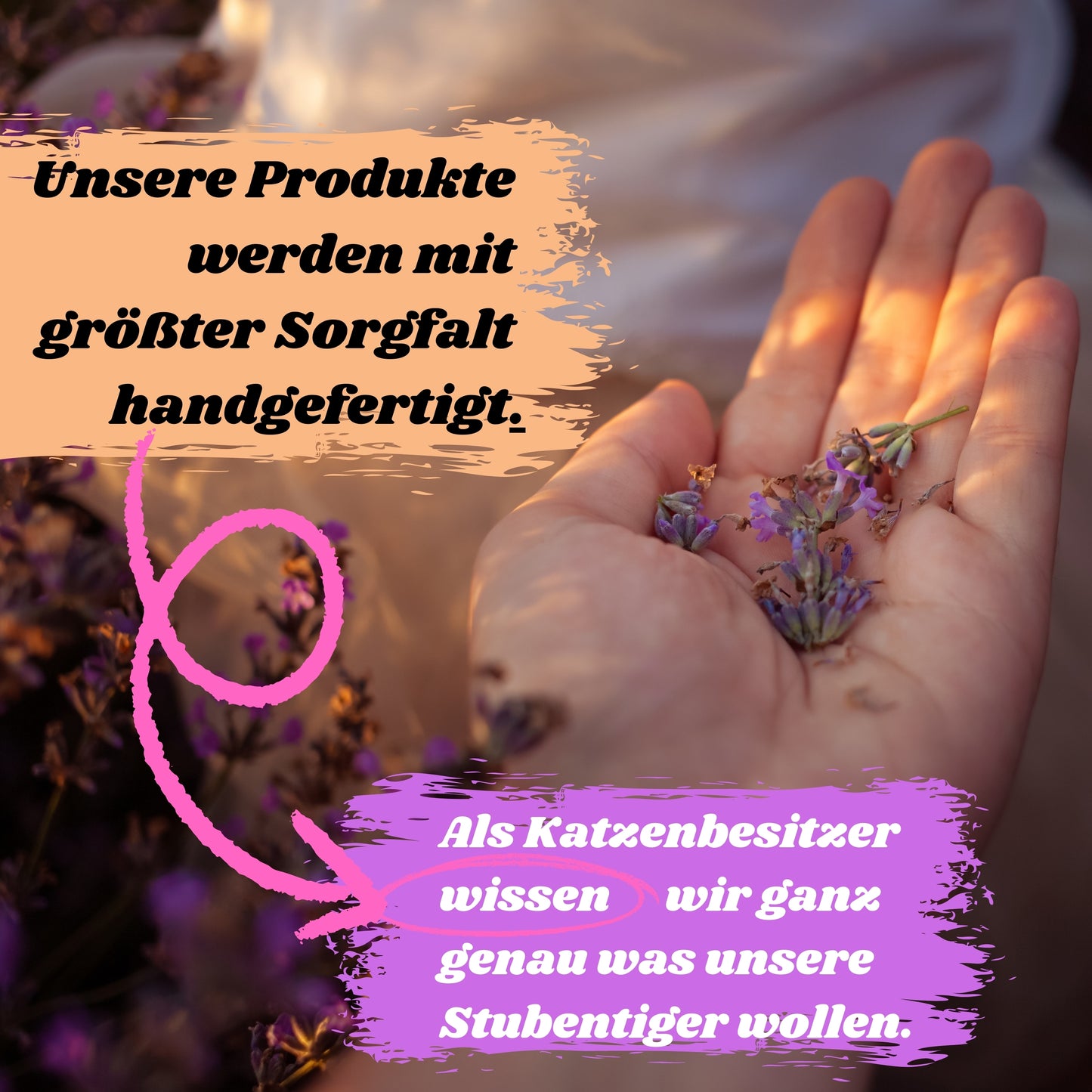 Eine Hand hält sanft getrocknete Lavendelblüten im warmen Abendlicht. Im Hintergrund sind unscharfe Lavendelpflanzen sichtbar. Auf dem Bild steht der Text:
„Unsere Produkte werden mit größter Sorgfalt handgefertigt.“
Darunter, mit einem rosa Pfeil verbunden:
„Als Katzenbesitzer wissen wir ganz genau, was unsere Stubentiger wollen.“
Das Bild vermittelt natürliche Handarbeit, Liebe zum Detail und die enge Beziehung zwischen Mensch und Katze.