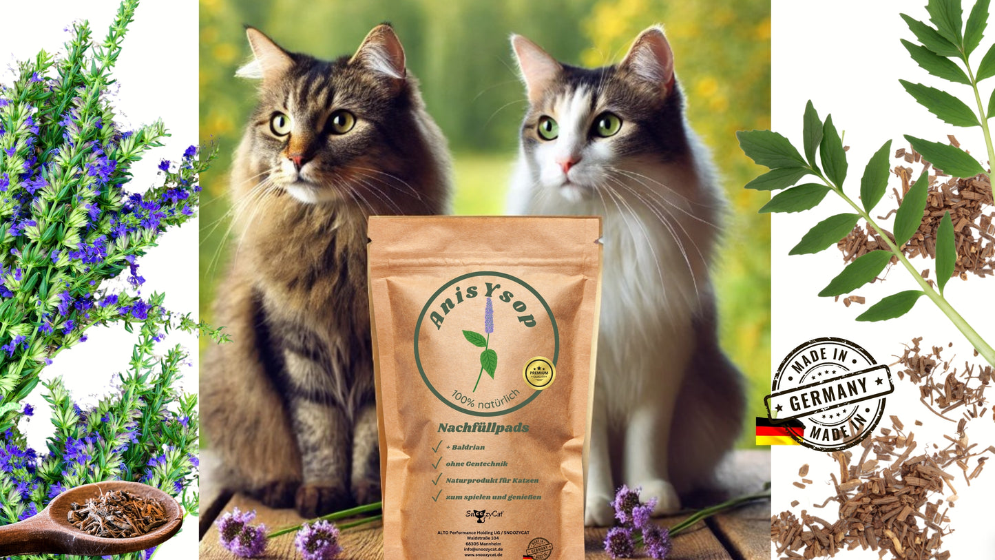 SNOOZYCAT® Nachfüllpads – Anis Ysop & Baldrian – 100 % natürliche Kräuter – ausgleichend & harmonisierend – 10 Stück