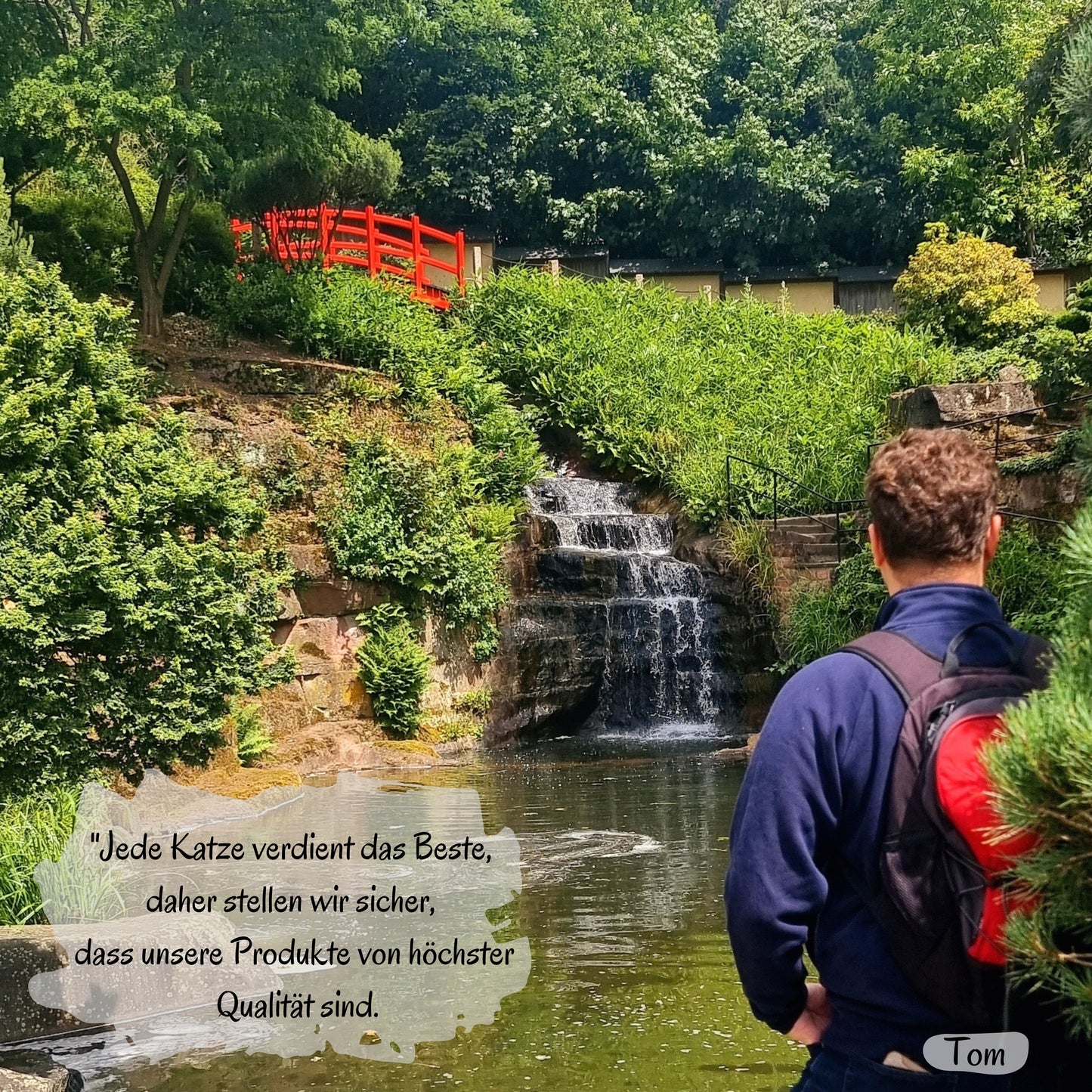 SNOOZYCAT® Nachfüllpads – Matatabi (Silvervine) & Katzenminze – 100 % natürliche Kräuter – spielanregend & ausgleichend – 10 Stück