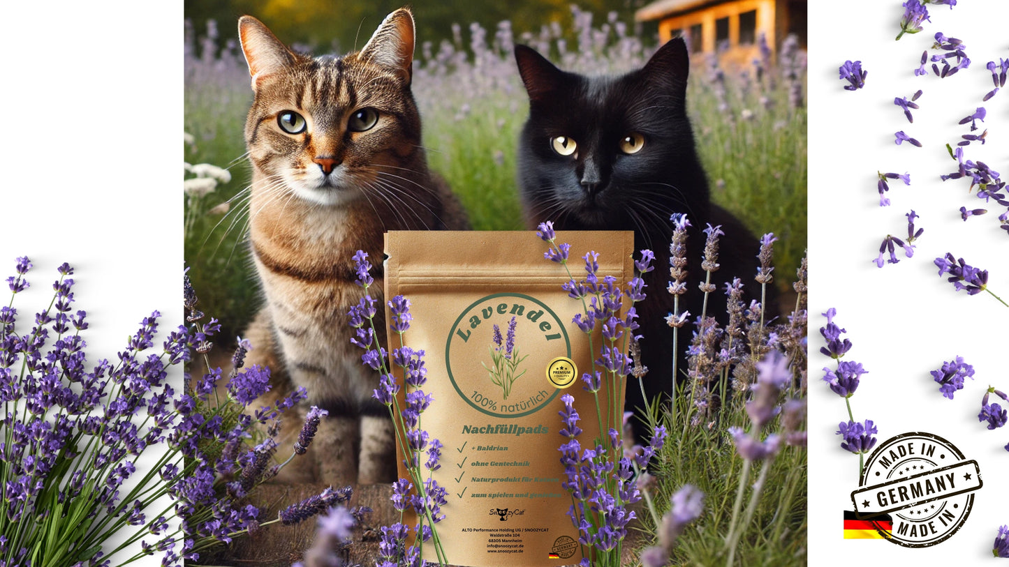 wei Katzen – eine getigerte und eine schwarze – sitzen in einem blühenden Lavendelfeld. Davor steht eine Packung SNOOZYCAT® Nachfüllpads mit Lavendel. Die Szenerie vermittelt Ruhe und Natürlichkeit. Im Vordergrund ist der Lavendel deutlich sichtbar, im Hintergrund ein Haus. Rechts unten befindet sich ein "Made in Germany"-Siegel.
