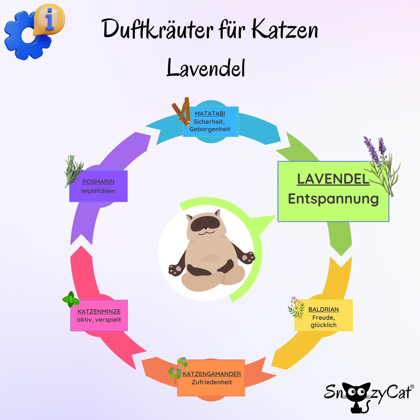 Illustration eines entspannt sitzenden Katers in der Mitte, umgeben von einem farbigen Kräuter-Kreis. Im Fokus stehen Lavendel und Kamille, beide mit der Wirkung „Entspannung“ hervorgehoben. Weitere Kräuter mit Wirkungsbeschreibung sind:
Matatabi – Sicherheit, Geborgenheit
Rosmarin – Wohlfühlen
Katzenminze – aktiv, verspielt
Muskatellersalbei – Ausgeglichen, aktiv
Katzengamander – Zufriedenheit
Anis Ysop – Harmonie
Baldrian – Freude, glücklich
Das Design ist kindlich und verspielt gehalten, ideal für