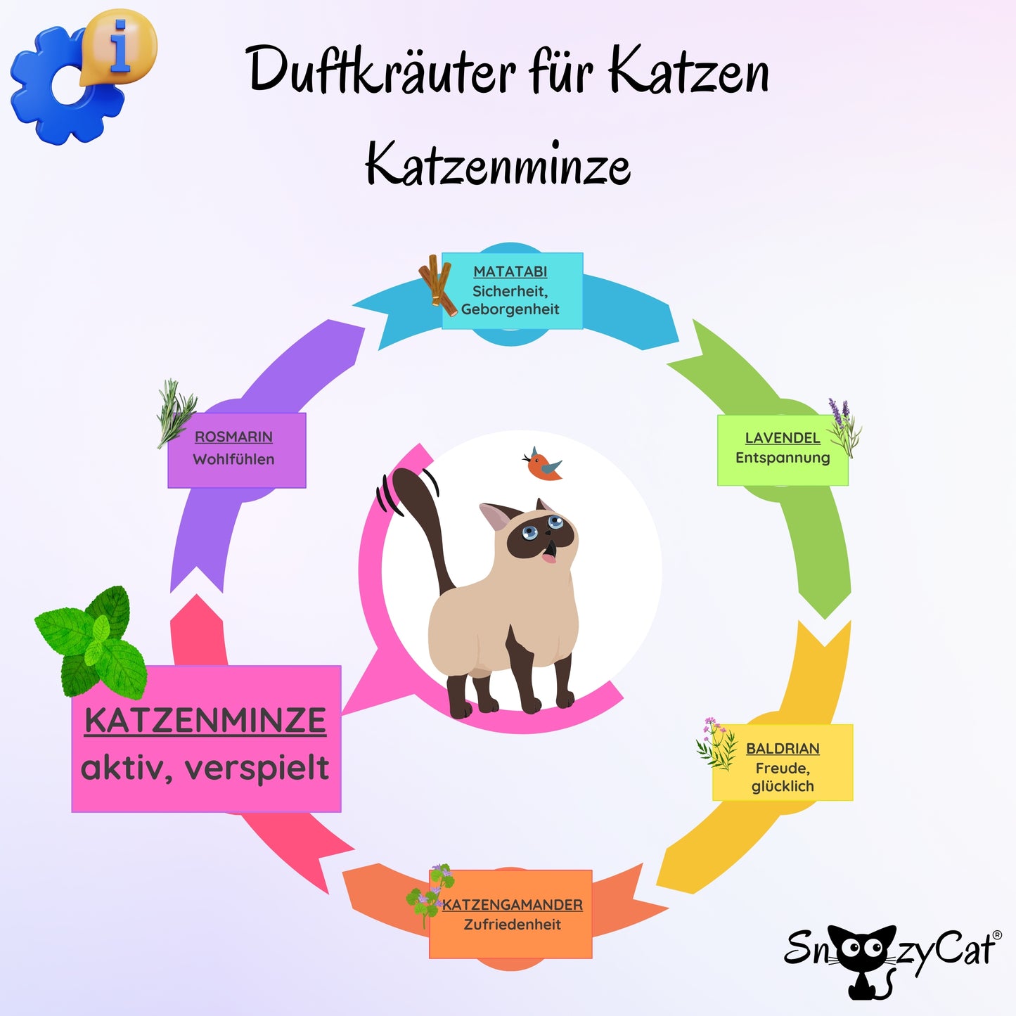 SNOOZYCAT® Nachfüllpads – Katzenminze – 100 % natürliche Kräuter – anregend & verspielt – 10 Stück