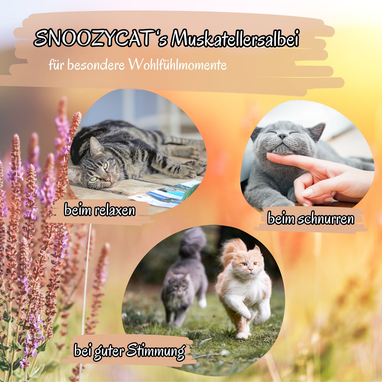 SNOOZYCAT® Muskatellersalbei für Katzen – natürliche Unterstützung beim Relaxen, Schnurren und für gute Stimmung – wohltuende Kräuter für besondere Wohlfühlmomente