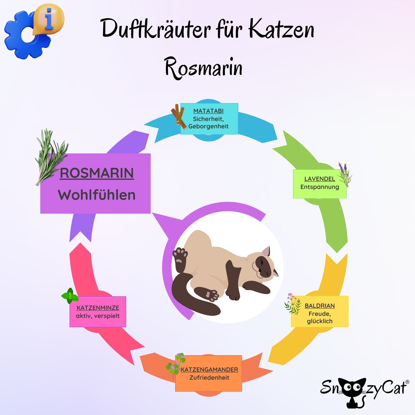 Übersichtsgrafik zu Duftkräutern für Katzen mit Fokus auf Rosmarin. Rosmarin wird als wohltuend beschrieben. Weitere Kräuter sind Matatabi (Geborgenheit), Lavendel & Kamille (Entspannung), Baldrian (Freude), Anis Ysop & Katzengamander (Zufriedenheit, Harmonie), Muskatellersalbei (ausgeglichen) und Katzenminze (aktiv). Eine schlafende Katze liegt im Zentrum der Darstellung, um das Wohlgefühl zu symbolisieren. SNOOZYCAT® Logo unten rechts.