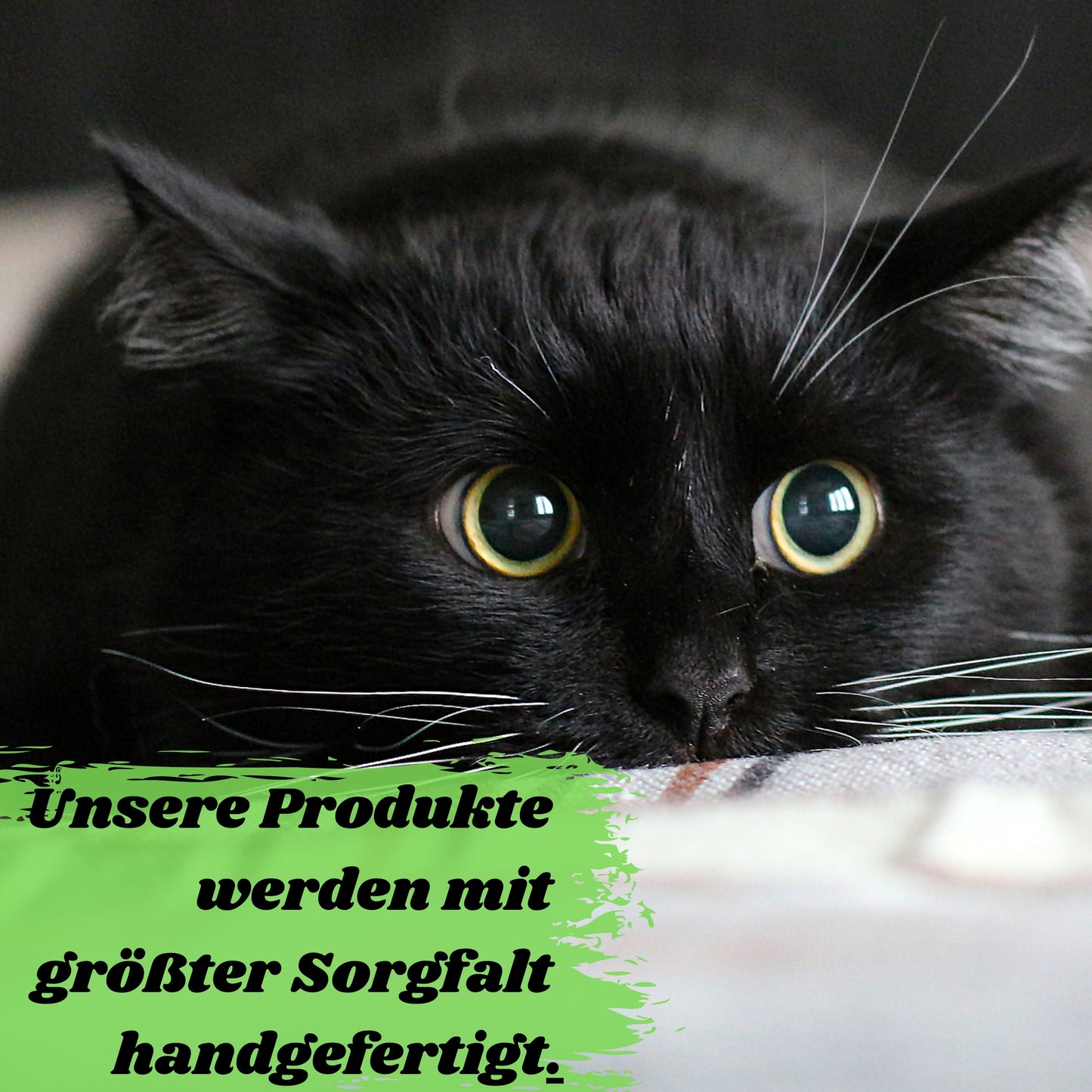 Katze schnuppert an einem SNOOZYCAT® Nachfüllpad mit Muskatellersalbei & Katzenminze – natürliche Entspannung und Spielspaß