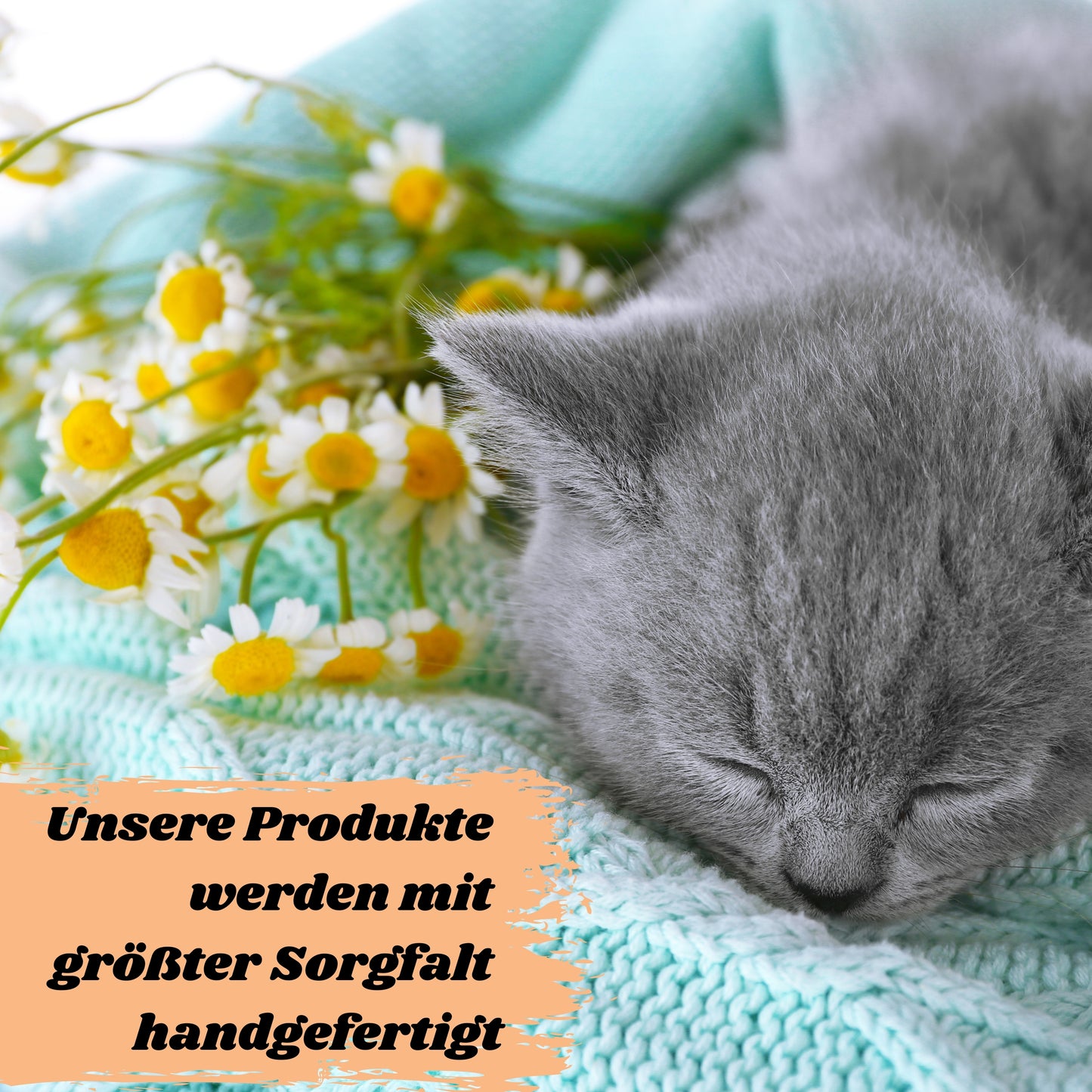 Schlafende graue Katze auf weicher Decke mit Kamillenblüten – entspannte Stimmung durch SNOOZYCAT® Kräuterprodukte für Katzen mit Kamille und Katzenminze – natürliches Wohlbefinden