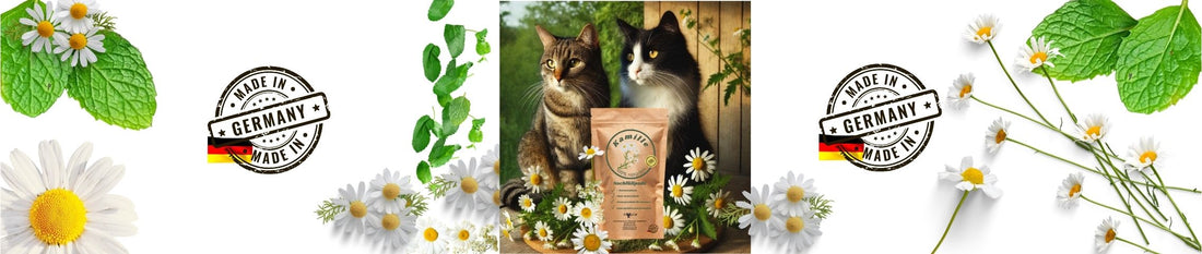 snoozycat 2 katzen mit einem standbodenbeutel inhalt 10 nachfüllpads mit katzenminze und kamille
