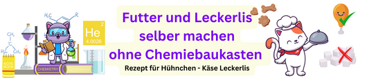 SNOOZYCAT Kochbuch für ein e gesunde Katzenernährung Leckerlis und Katzenfutter selber machen Geldsparen und Ernährung für Katzen ohne Zucker und Chemie