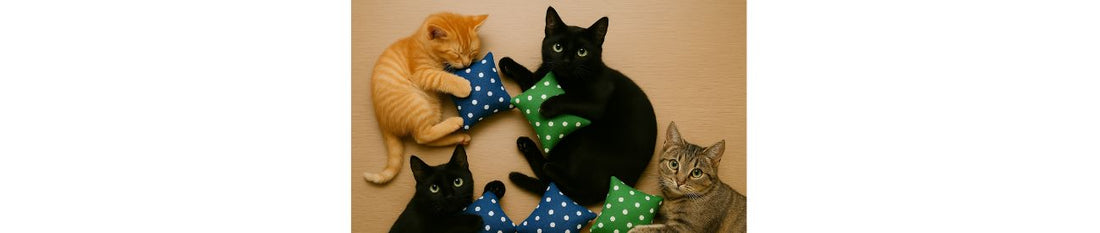 🐾 Katzengesellschaft: Einzelgänger oder doch Sozialwesen?