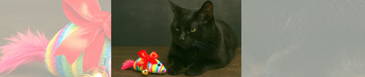 😾 Die Doppelmoral: Bio, vegan, umweltfreundlich – aber China-Spielzeug für die Katze?!