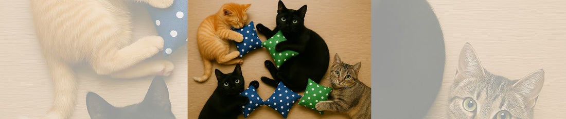 🐾 Katzengesellschaft: Einzelgänger oder doch Sozialwesen?