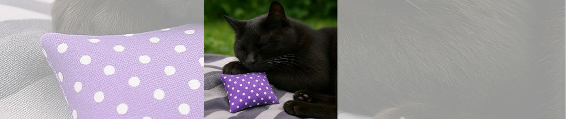 🌿 Baldrian-Boom: Warum wir Katzen dieses Kraut einfach lieben!