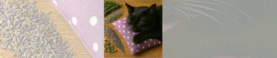 🐾 Heilpflanzen für Katzen – Natürliches Wohlbefinden aus der Natur