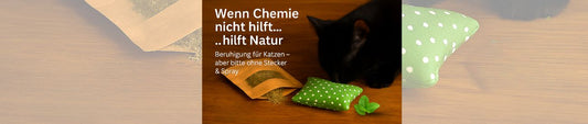 🧴 Stecker? Spray? Teure Chemie?