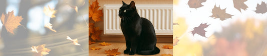 Heizperiode startet: So schützt du deine Katze vor trockener Luft & Erkältungen
