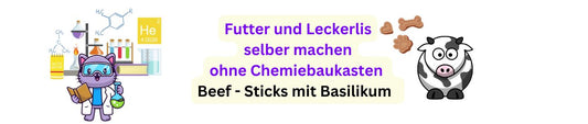 Power-Sticks mit Basilikum & Beef