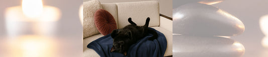 🐾 Update von Bobbel - Teil 2  Eosinophile Granulom-Komplex