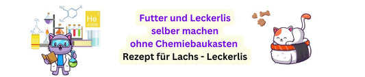 Lachs-Leckerlis für deine Katze – gesund & lecker!