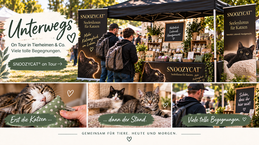 SNOOZYCAT® on Tour – Tierheimfeste – mehr als nur ein schöner Tag