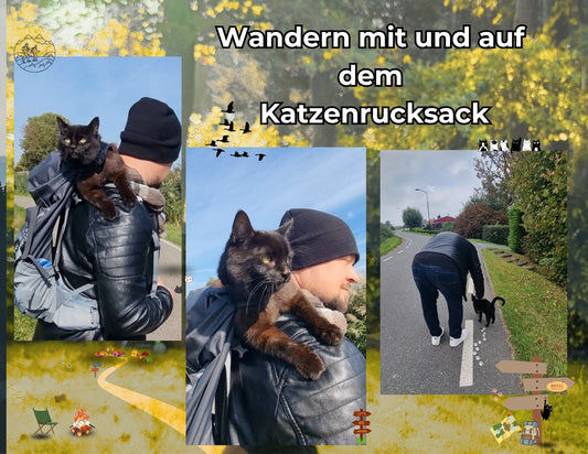 Mein Holland Urlaubs Vlog