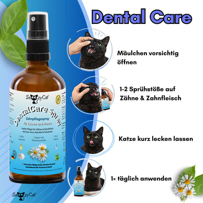 SNOOZYCAT® DentalCare Spray für Katzen & Hunde – Natürliche Zahnpflege ohne Bürste mit Kamille, Rosenwasser, Aloe Vera & Zink – Made in Germany