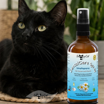 SNOOZYCAT® DentalCare Spray für Katzen & Hunde – Natürliche Zahnpflege ohne Bürste mit Kamille, Rosenwasser, Aloe Vera & Zink – Made in Germany
