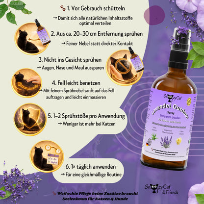 SNOOZYCAT® Premium Salmon Oil for Cats – 100 ml – High-quality food-grade Omega-3 &amp; Omega-6 oil – For skin, coat &amp; immune system – Fresh &amp; gently produced in Germany