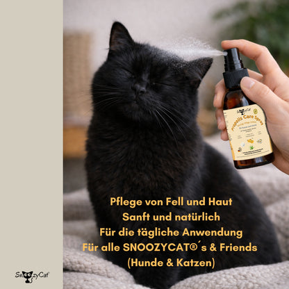 SNOOZYCAT® Huile de saumon premium pour chats - de qualité alimentaire en provenance d'Allemagne - Oméga 3 &amp; 6 100 ml - huile de saumon naturelle - huile de saumon fraîche et hautement dosée pour chats