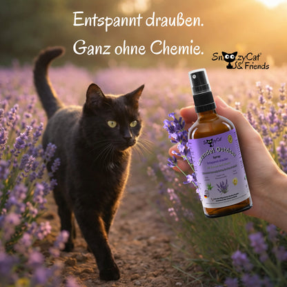 SNOOZYCAT® Premium Salmon Oil for Cats – 100 ml – High-quality food-grade Omega-3 &amp; Omega-6 oil – For skin, coat &amp; immune system – Fresh &amp; gently produced in Germany
