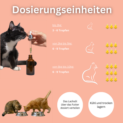 SNOOZYCAT® Premium Lachsöl für Katzen – 100 ml – Hochwertiges Omega-3- & Omega-6-Öl in Lebensmittelqualität – Für Haut, Fell & Immunsystem – Frisch & schonend hergestellt in Deutschland