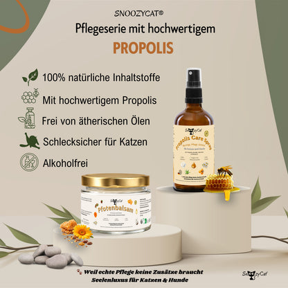 SNOOZYCAT® Premium Salmon Oil for Cats – 100 ml – High-quality food-grade Omega-3 &amp; Omega-6 oil – For skin, coat &amp; immune system – Fresh &amp; gently produced in Germany