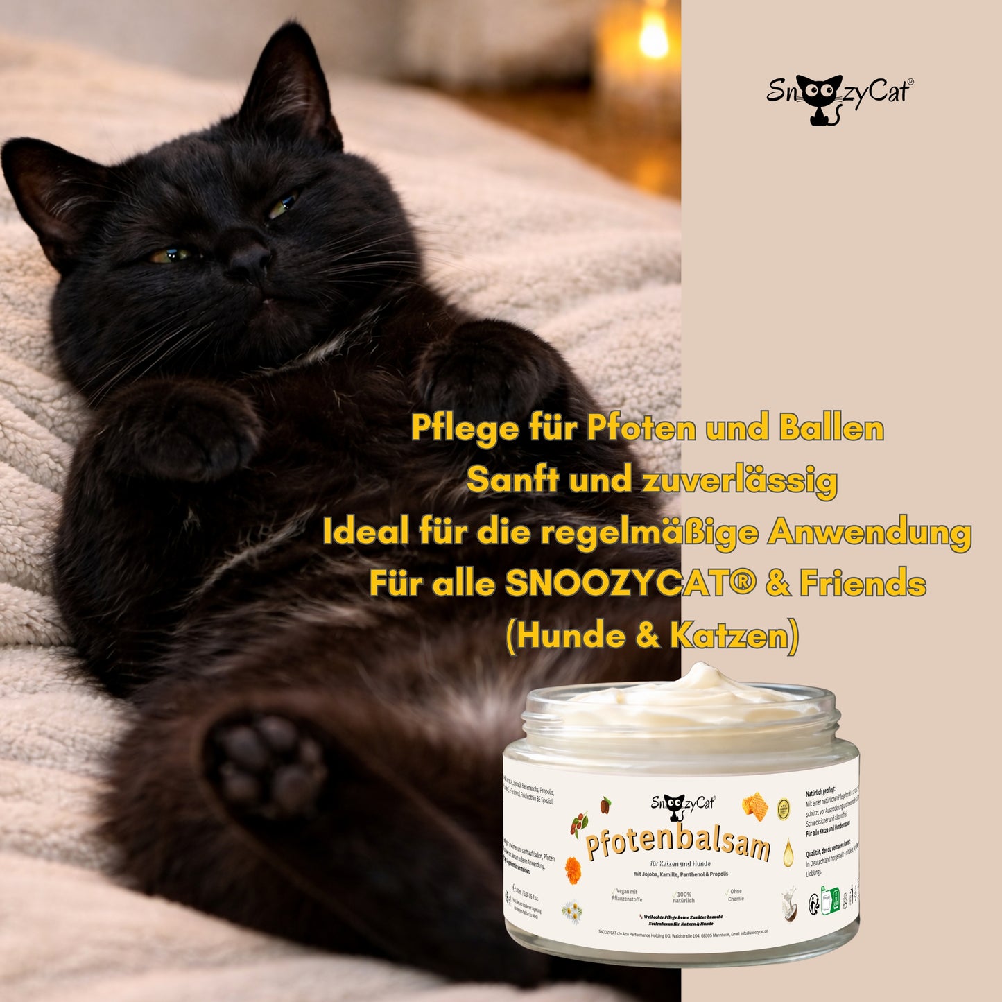 SNOOZYCAT® Premium Salmon Oil for Cats – 100 ml – High-quality food-grade Omega-3 &amp; Omega-6 oil – For skin, coat &amp; immune system – Fresh &amp; gently produced in Germany