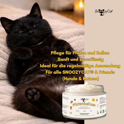 SNOOZYCAT® Premium Salmon Oil for Cats – 100 ml – High-quality food-grade Omega-3 &amp; Omega-6 oil – For skin, coat &amp; immune system – Fresh &amp; gently produced in Germany